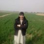 kashif